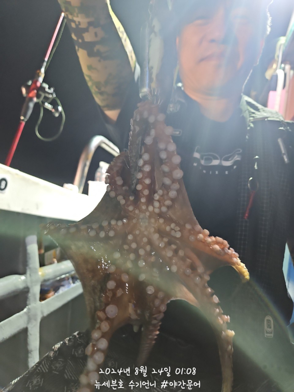 7_176Ud018svc7wjmfpxw30c2_82sd02.jpg