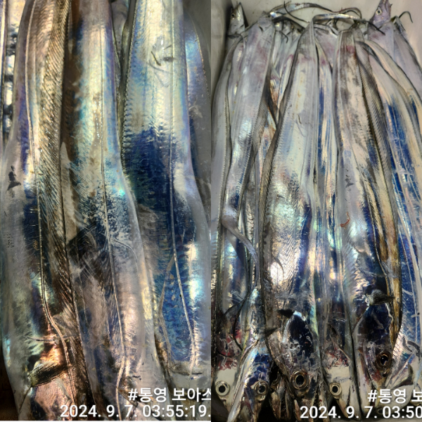 10abfe3d3009f58b4cb64a554fd8ba42.jpg
