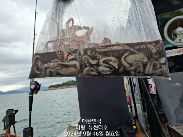 1a6718d59abf6fdbcdae662ce41abe41.jpg