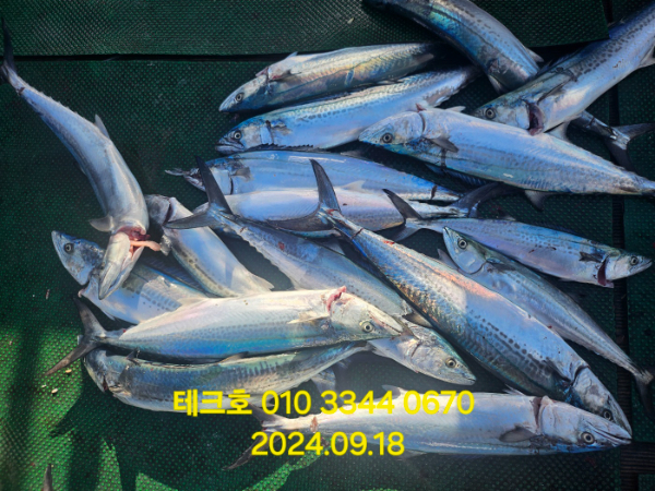 KakaoTalk_20240918_180021172_05.jpg