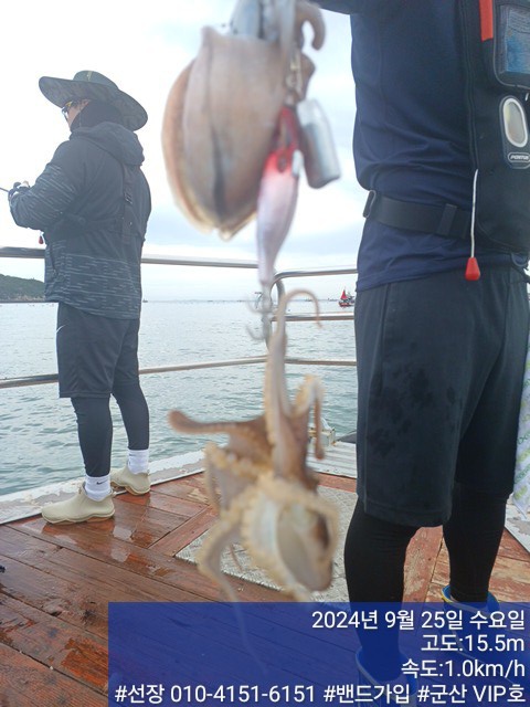 KakaoTalk_20240925_125738707.jpg
