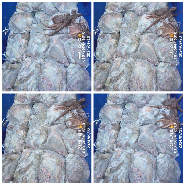 PhotoCollage_1727084689075.jpg