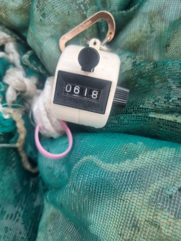 1000012656.jpg