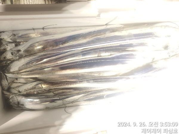 1727313090765-2.jpg