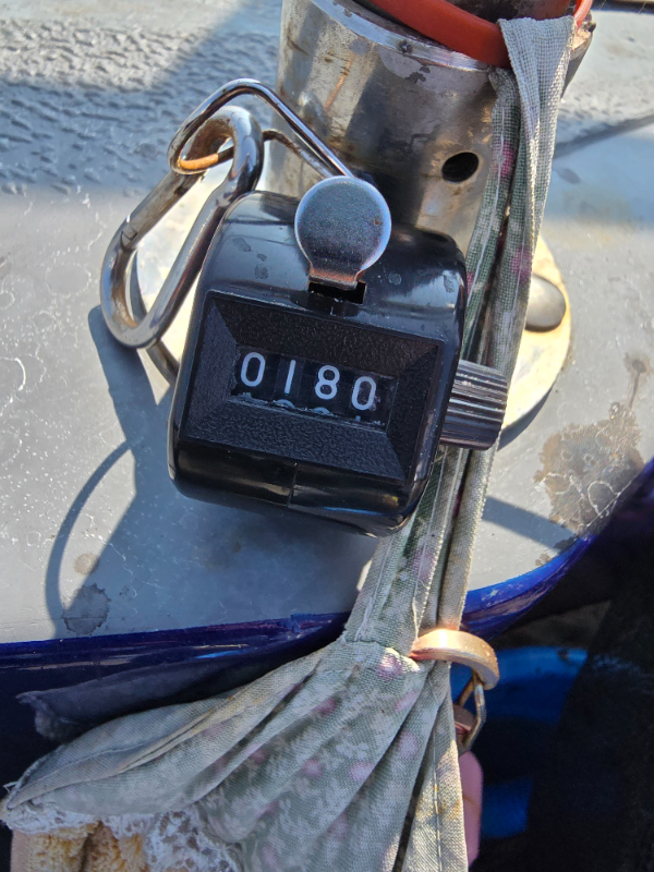 20240908_144033.jpg