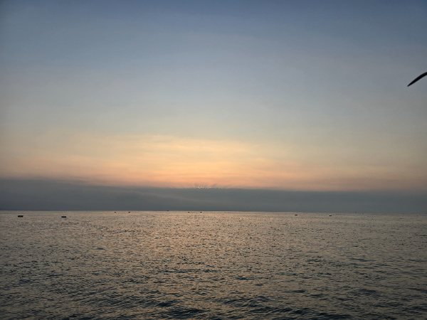 20240908_062536.jpg