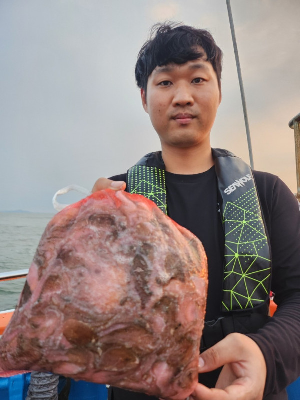 군산 선상낚시, 바다낚시 출조 전문 ☆서군산낚시☆_사진_20240906_14.jpg