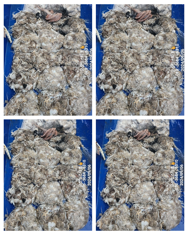 InCollage_20240906_172307564.jpg
