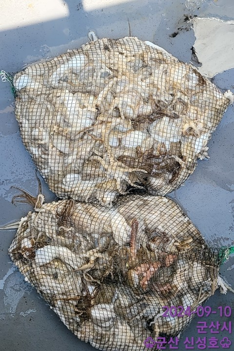 1726010121540-14.jpg