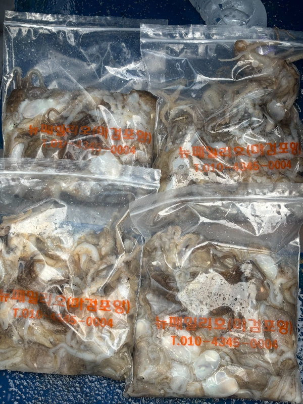 1726040799530-10.jpg