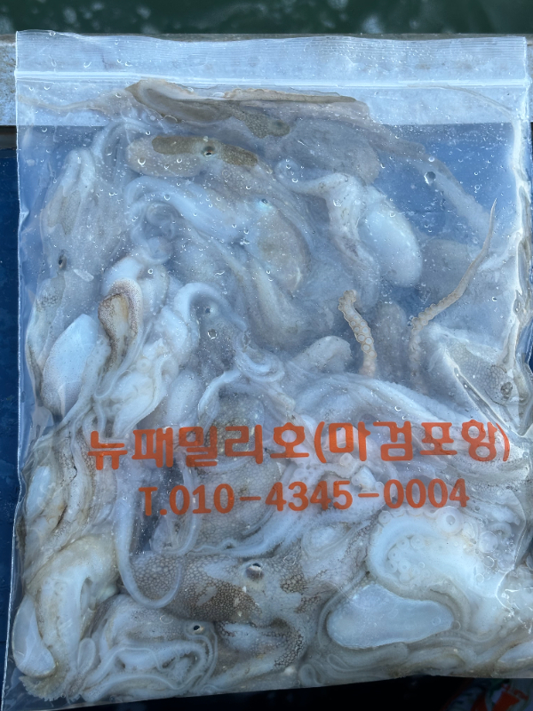 1725609050856-5.jpg