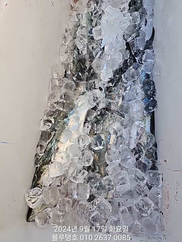 1000016700.jpg
