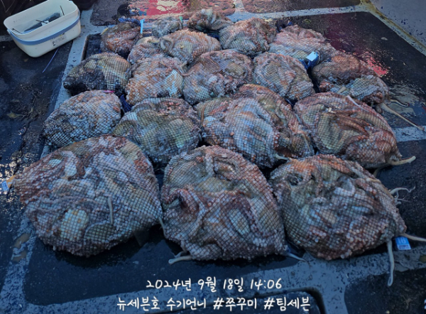9_hefUd018svc1scsul1gra346_82sd02.jpg