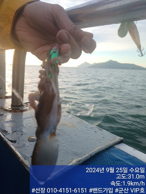 KakaoTalk_20240925_125738707_11.jpg