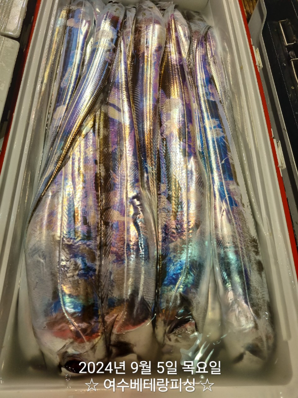 1000052606.jpg