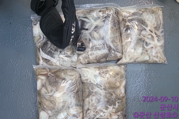 1726010121540-5.jpg