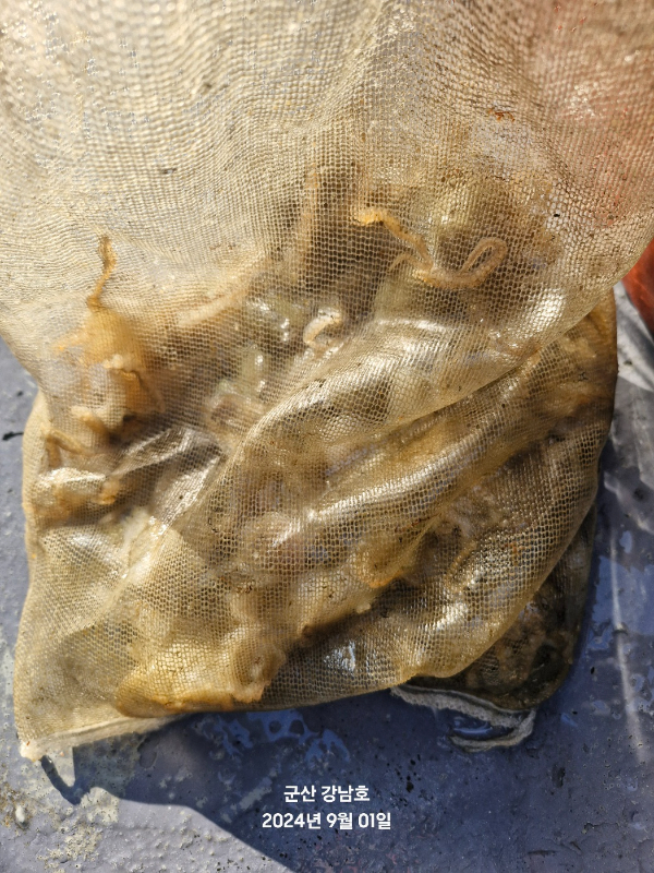 1725146692099-9.jpg
