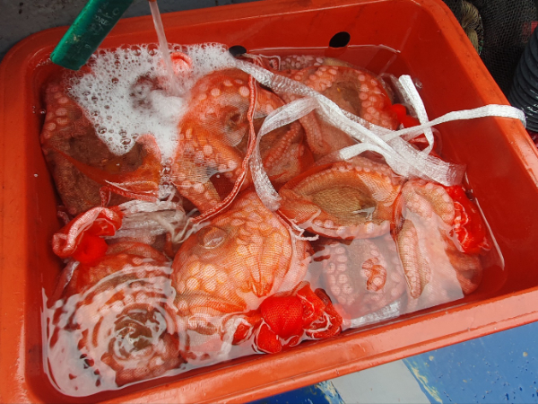 1726471597720-9.jpg