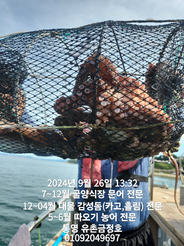 b10be5f585829458d09bb78b16731362.jpg