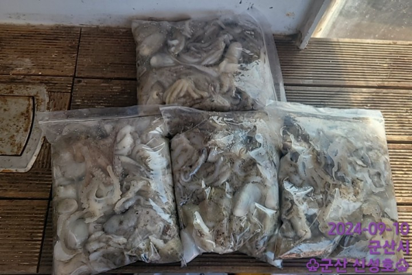 1726010121540-4.jpg