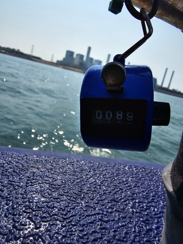 20240908_143703.jpg