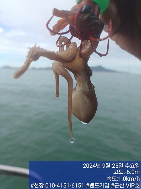KakaoTalk_20240925_125738707_06.jpg
