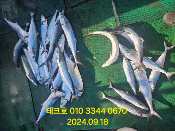 KakaoTalk_20240918_180021172_04.jpg