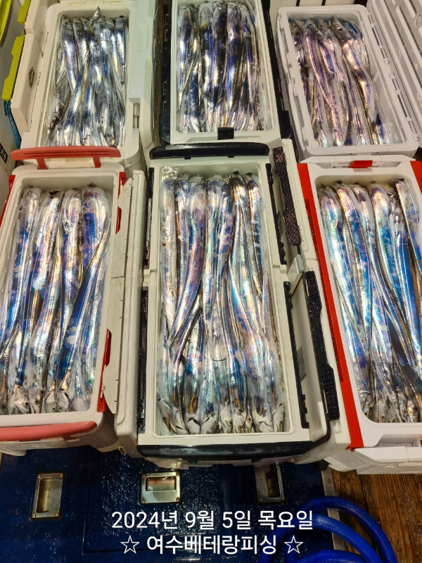 1000052593.jpg