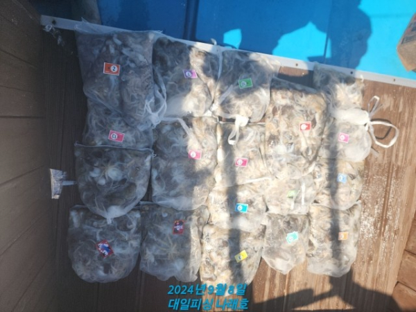 e093cece473eabd81ea05a417803e5bb.jpg