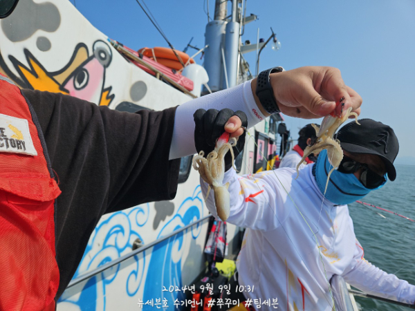 9_iiaUd018svc6rgmrtcy02x9_82sd02.jpg
