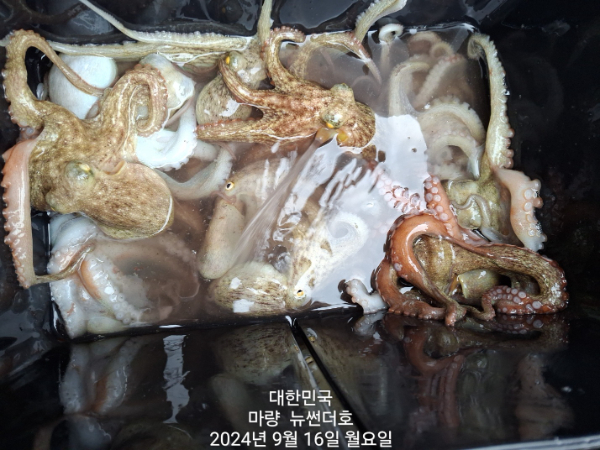 ec61ca7e11ef5381ad36c366a8d64074.jpg