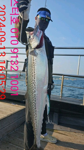 ee91cf4b0078d5f0184d80ea1cd8635a.jpg