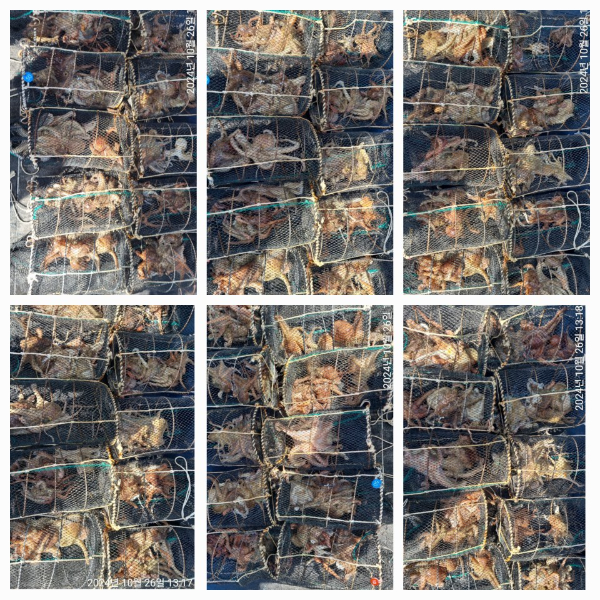 1000070155.jpg