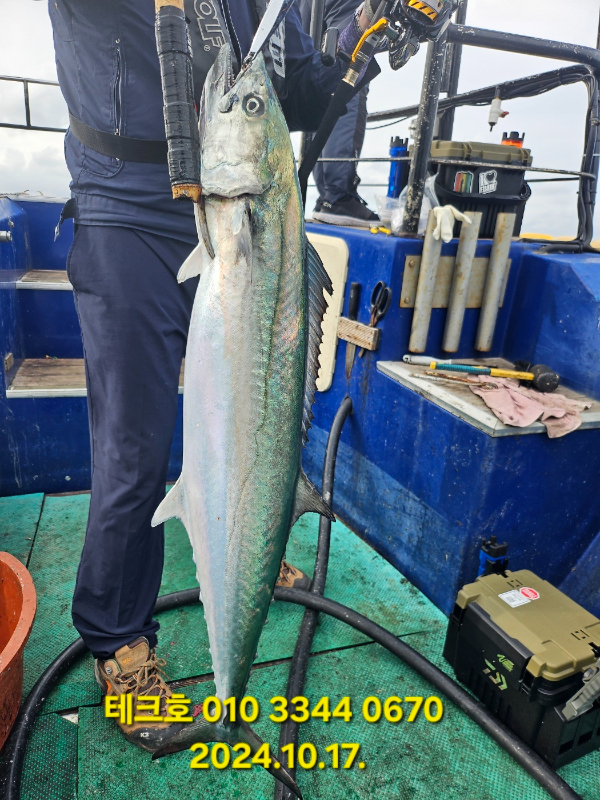 KakaoTalk_20241017_151346859_02.jpg