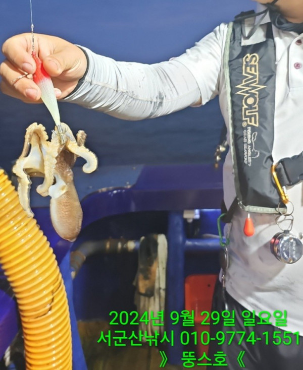 군산 선상낚시, 바다낚시 출조 전문 ☆서군산낚시☆_사진_20241001_8.jpg