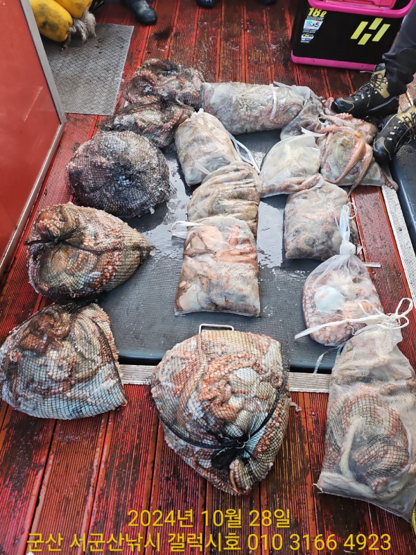 군산 선상낚시, 바다낚시 출조 전문 ☆서군산낚시☆_사진_20241028_5.jpg