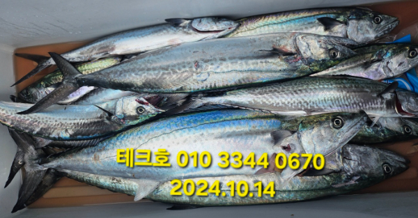 KakaoTalk_20241014_123647674_01.jpg