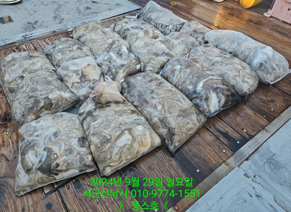 군산 선상낚시, 바다낚시 출조 전문 ☆서군산낚시☆_사진_20241001_13.jpg