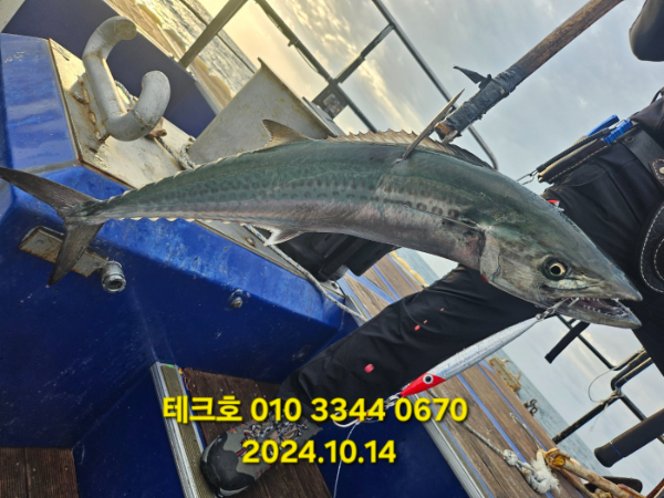KakaoTalk_20241014_123647674_10.jpg