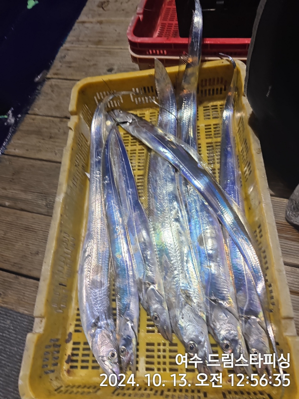 19ada6bed15047e4ca3dcba569a87383.jpg