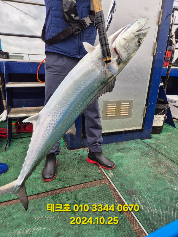 KakaoTalk_20241026_081700829_05.jpg
