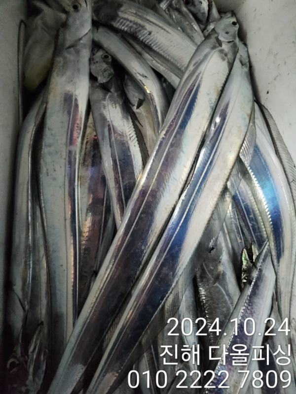 1000022477.jpg
