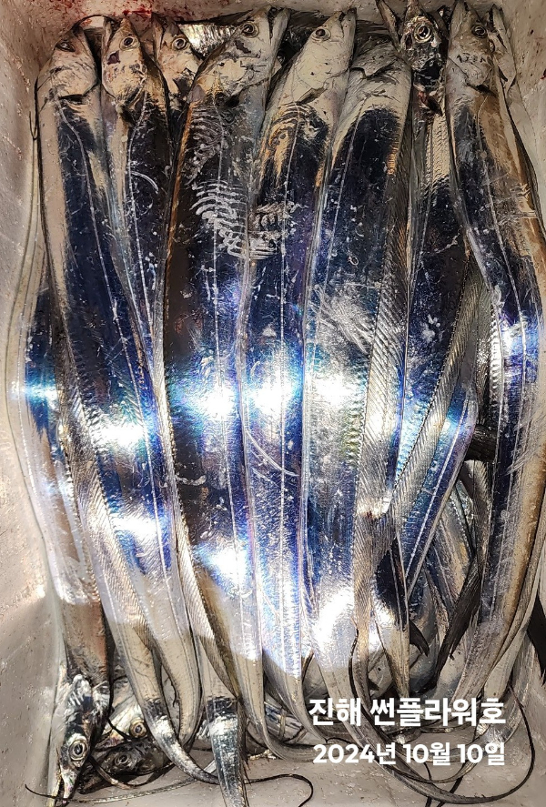 1000049604.jpg