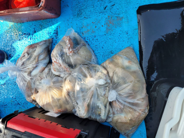 photo_2024-10-08_17-22-53 (2).jpg