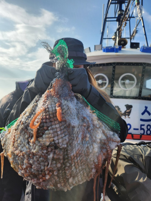 군산 선상낚시, 바다낚시 출조 전문 ☆서군산낚시☆_사진_20241029_7.jpg