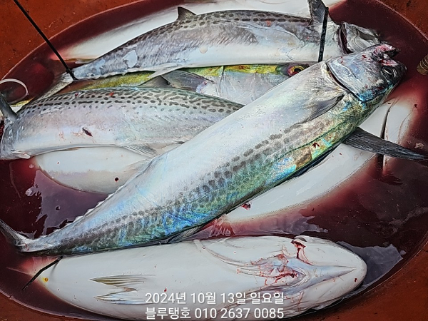 1000019718.jpg