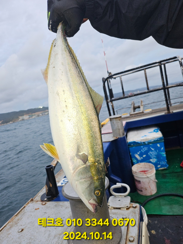KakaoTalk_20241014_123647674_16.jpg