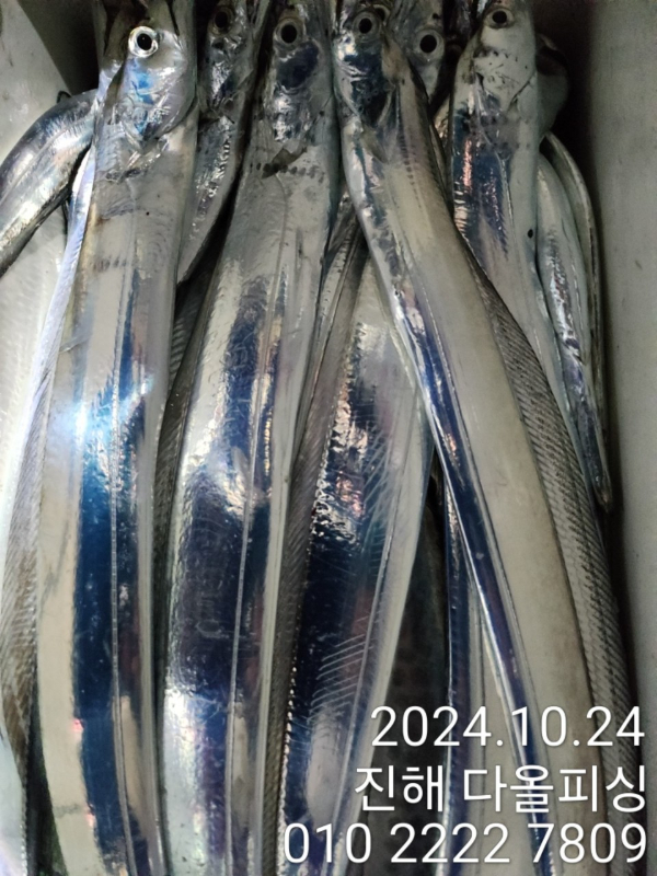 1000022480.jpg