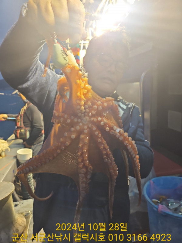 군산 선상낚시, 바다낚시 출조 전문 ☆서군산낚시☆_사진_20241028_7.jpg