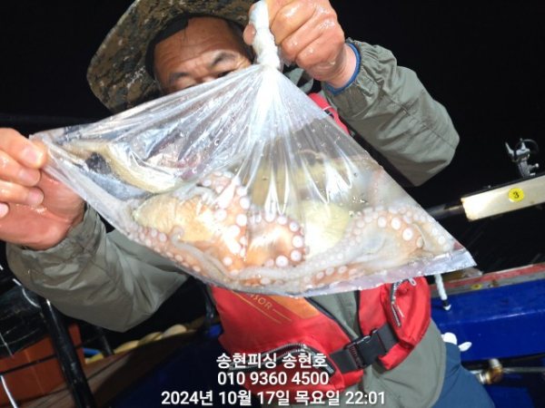 TimePhoto_20241017_220116.jpg